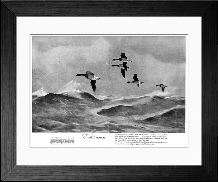 Framed Print : 13826862 Framed Print : 13826862