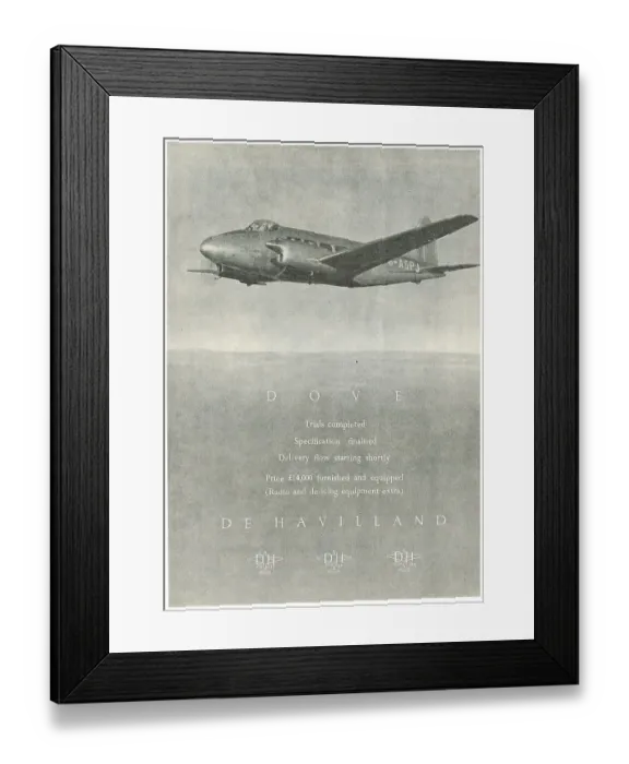 Framed Print : 13826987 Framed Print : 13826987