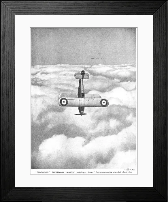 Framed Print : 13830357 Framed Print : 13830357