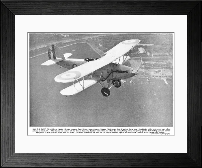 Framed Print : 13830366 Framed Print : 13830366