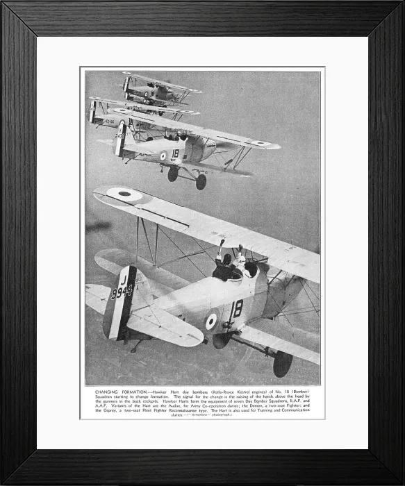 Framed Print : 13830376 Framed Print : 13830376