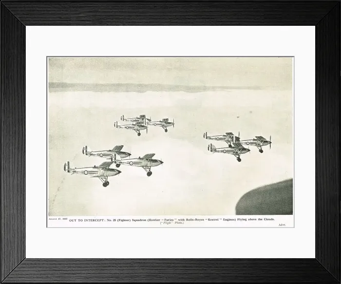 Framed Print : 13830405 Framed Print : 13830405