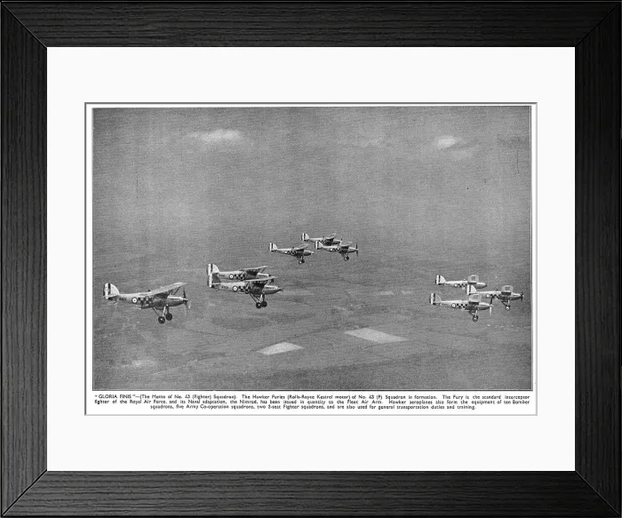 Framed Print : 13830416 Framed Print : 13830416