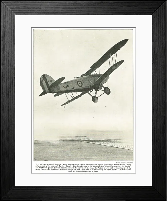Framed Print : 13830418 Framed Print : 13830418