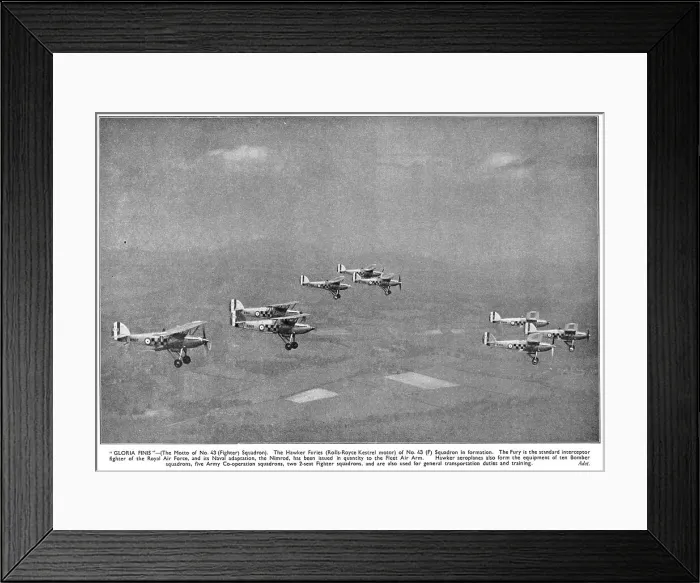 Framed Print : 13830446 Framed Print : 13830446