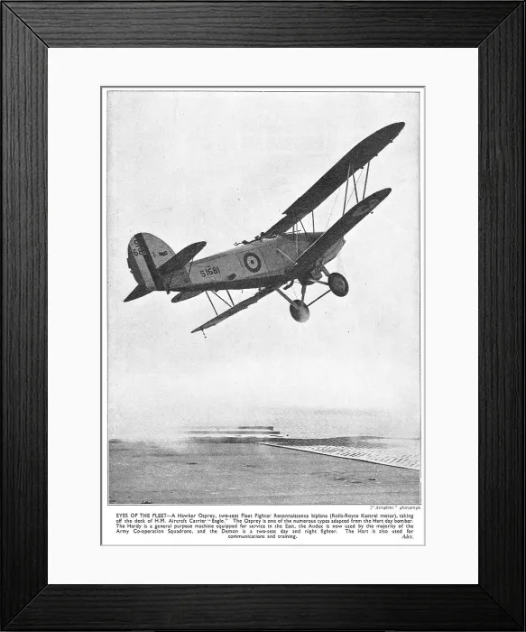 Framed Print : 13830452 Framed Print : 13830452