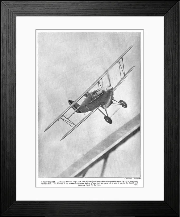 Framed Print : 13830455 Framed Print : 13830455