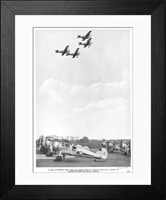 Framed Print : 13830464 Framed Print : 13830464