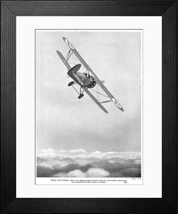 Framed Print : 13830465 Framed Print : 13830465