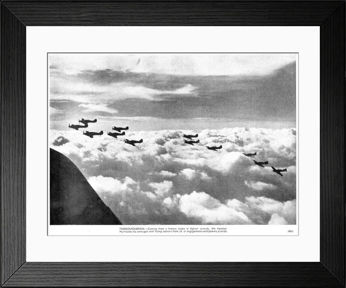 Framed Print : 13830500 Framed Print : 13830500