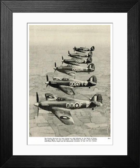 Framed Print : 13830505 Framed Print : 13830505