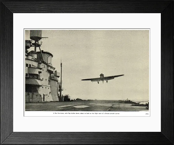 Framed Print : 13830513 Framed Print : 13830513