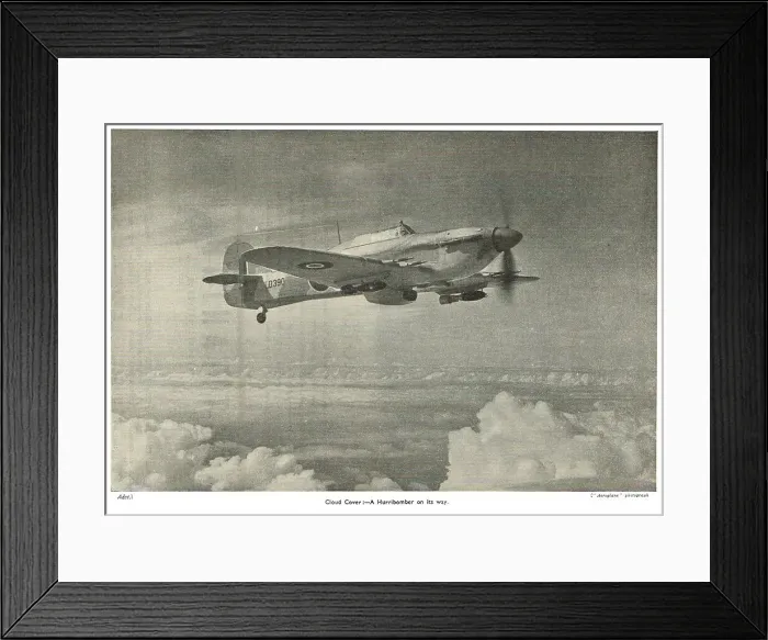 Framed Print : 13830514 Framed Print : 13830514