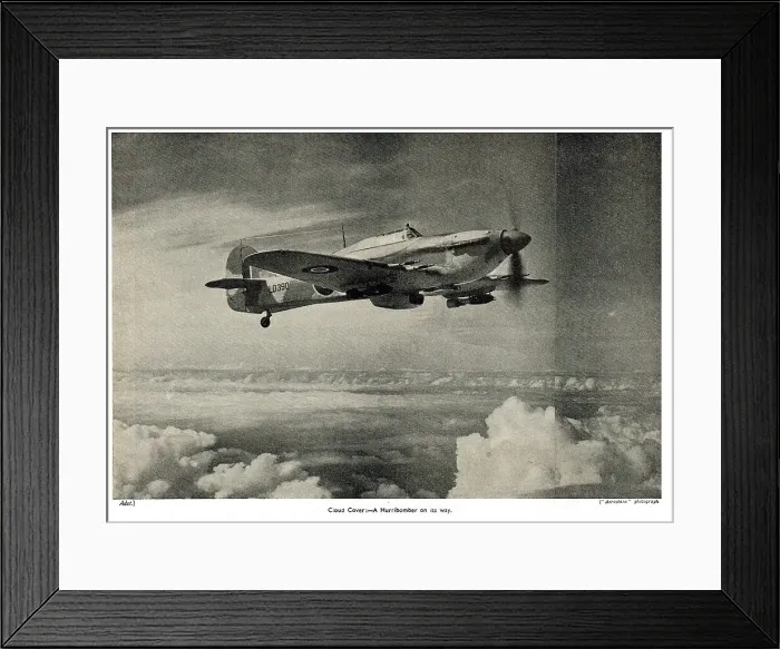 Framed Print : 13830517 Framed Print : 13830517