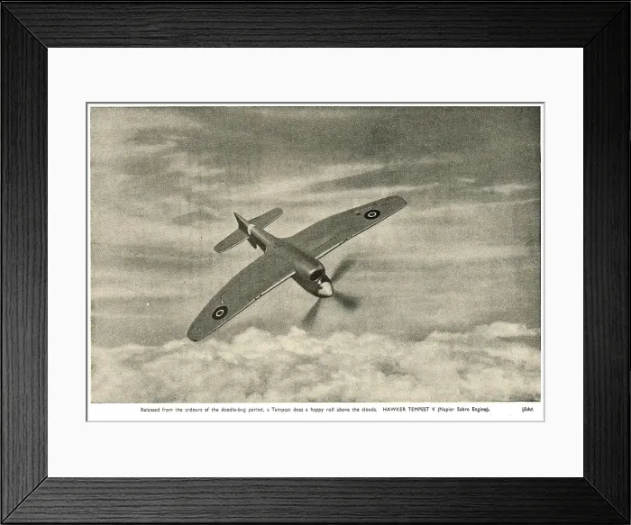 Framed Print : 13830527 Framed Print : 13830527