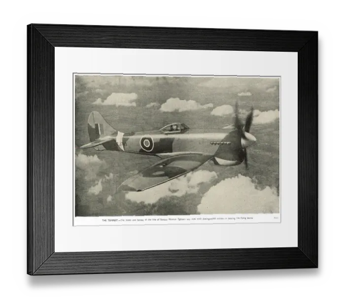 Framed Print : 13830528 Framed Print : 13830528