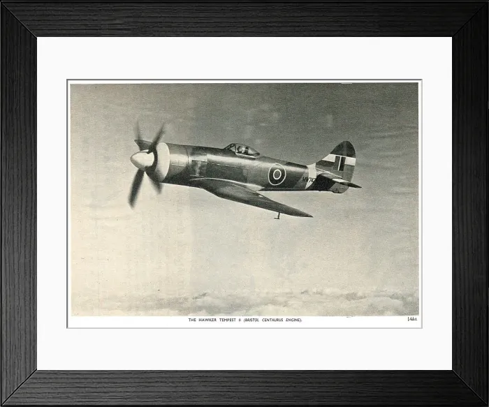 Framed Print : 13830530 Framed Print : 13830530