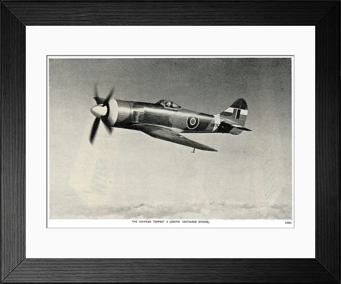 Framed Print : 13830533 Framed Print : 13830533