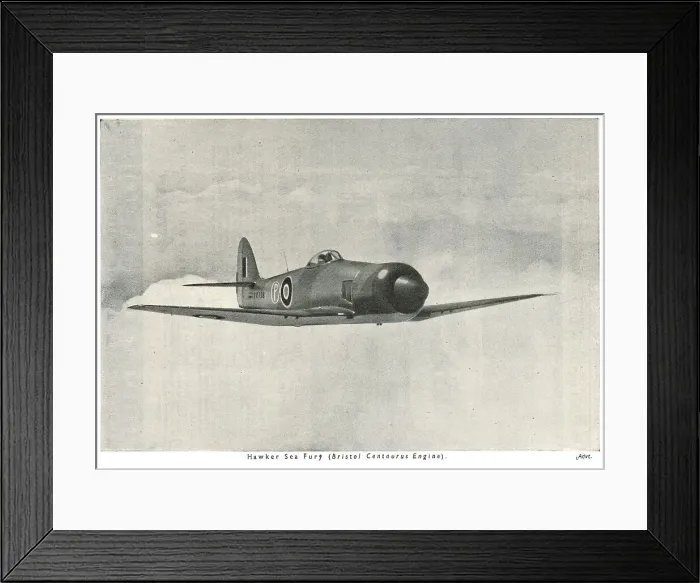 Framed Print : 13830536 Framed Print : 13830536