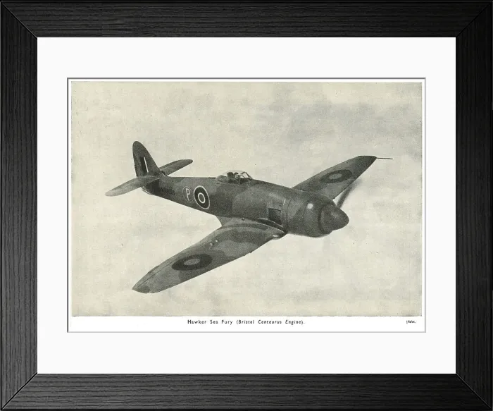 Framed Print : 13830534 Framed Print : 13830534