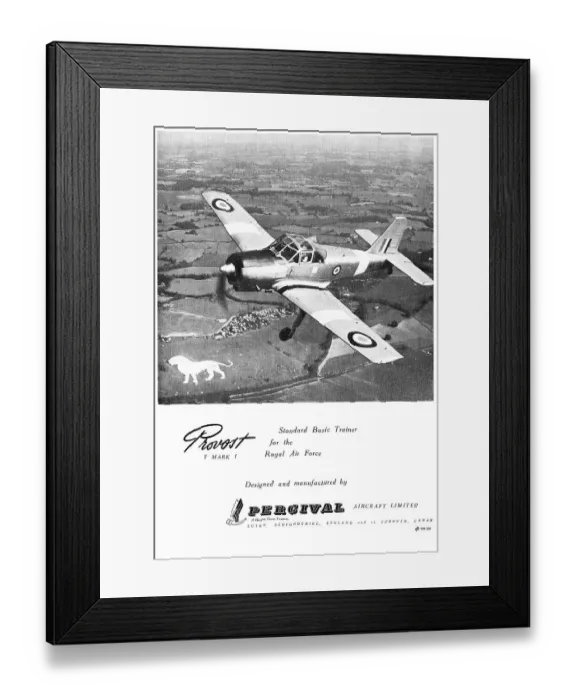 Framed Print : 13833201 Framed Print : 13833201