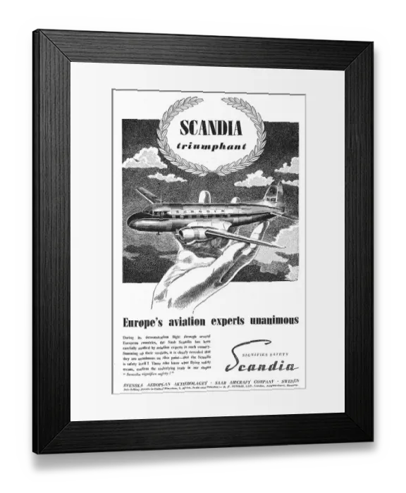 Framed Print : 13833900