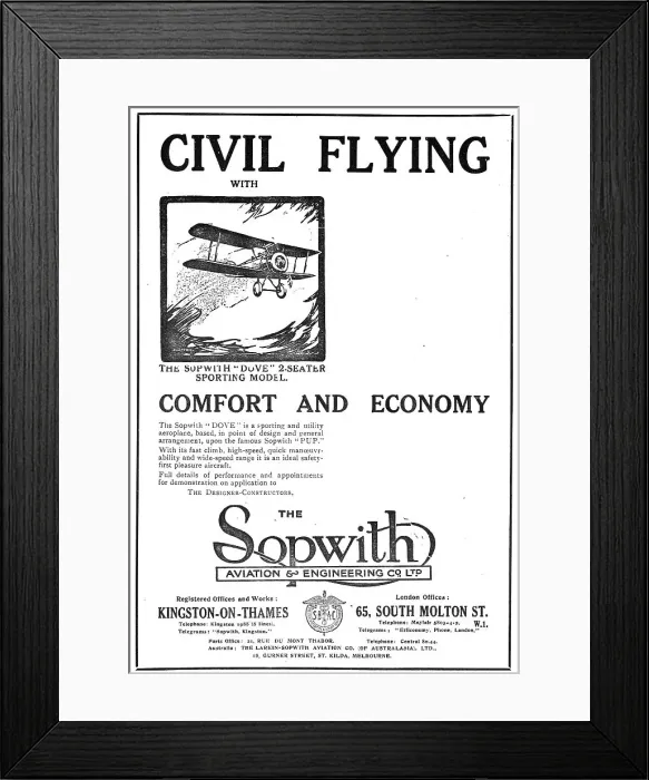 Framed Print : 13835141