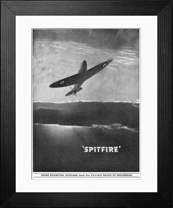 Framed Print : 13835544 Framed Print : 13835544