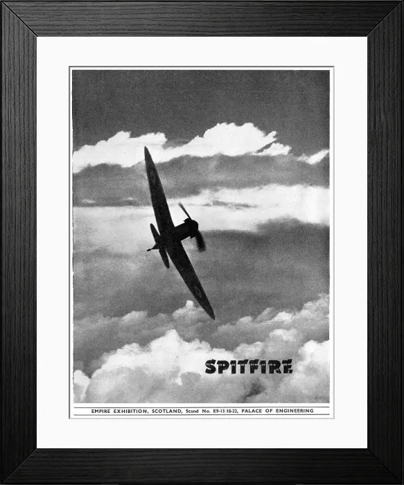 Framed Print : 13835546 Framed Print : 13835546