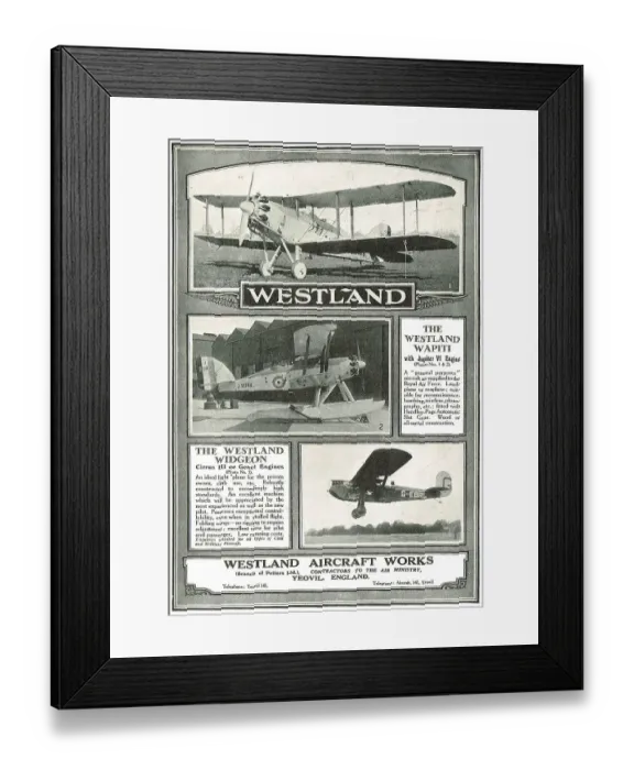 Framed Print : 13848159 Framed Print : 13848159