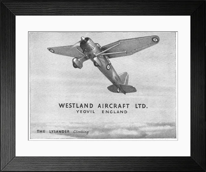 Framed Print : 13848297 Framed Print : 13848297