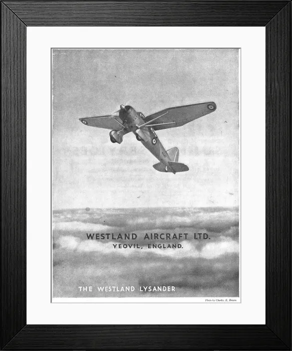 Framed Print : 13848298 Framed Print : 13848298