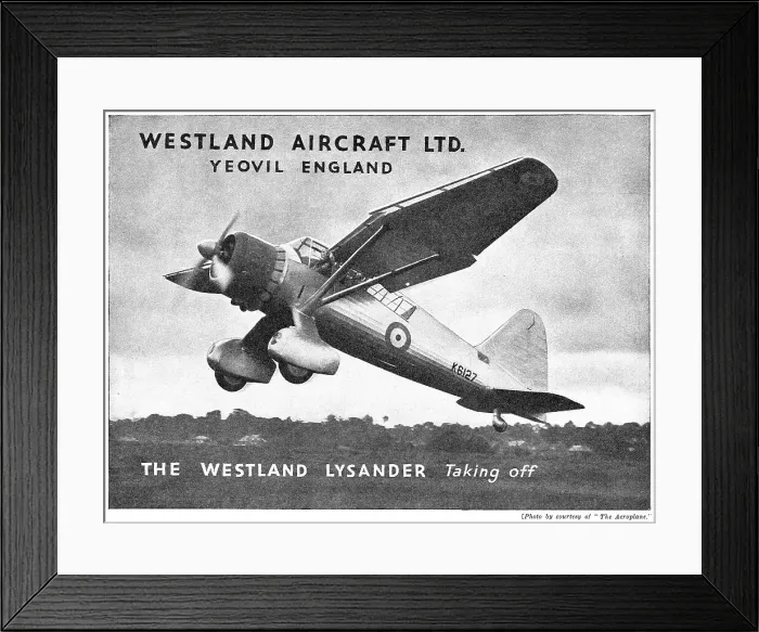 Framed Print : 13848299 Framed Print : 13848299