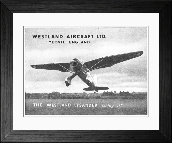 Framed Print : 13848301 Framed Print : 13848301