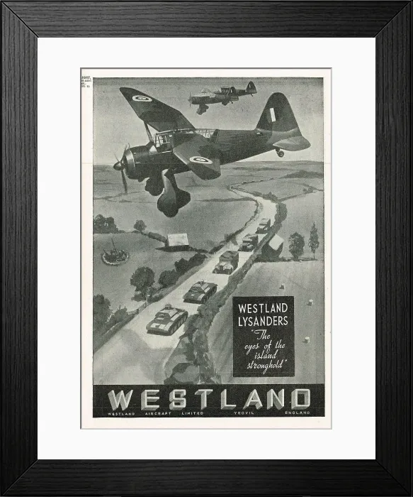 Framed Print : 13848326