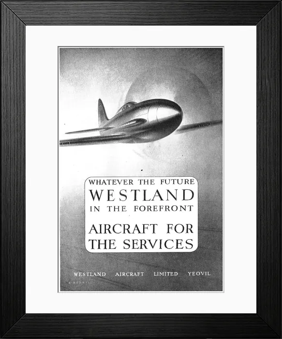 Framed Print : 13848352 Framed Print : 13848352