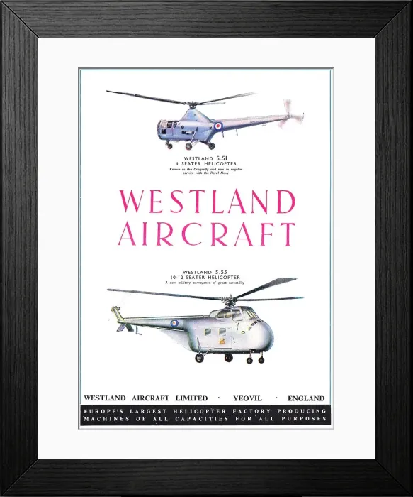 Framed Print : 13848395