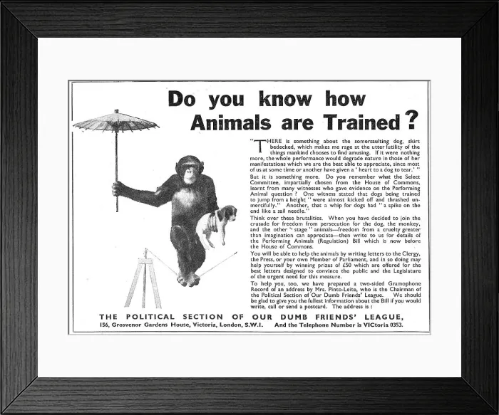 Framed Print : 13853379 Framed Print : 13853379