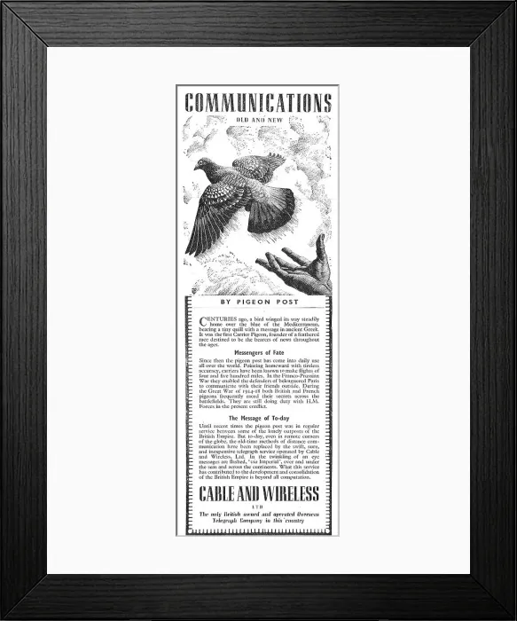 Framed Print : 13853923 Framed Print : 13853923