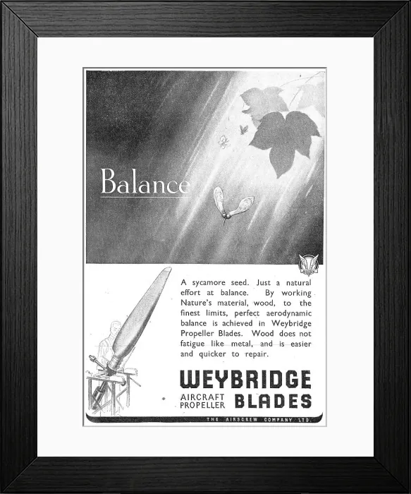 Framed Print : 13854379 Framed Print : 13854379