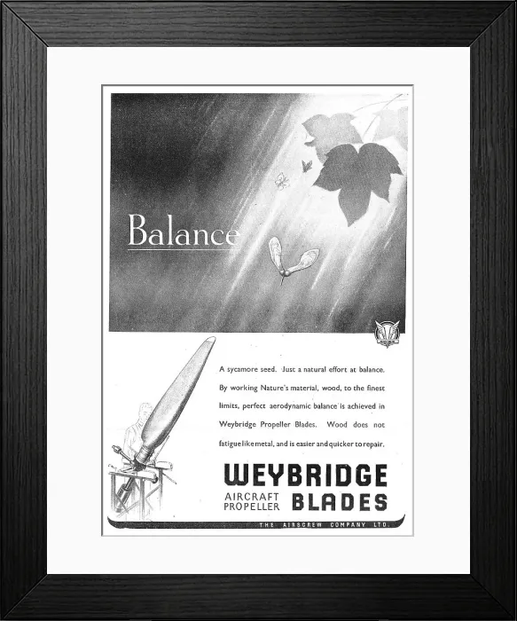 Framed Print : 13854384 Framed Print : 13854384
