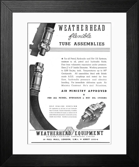Framed Print : 13854900 Framed Print : 13854900