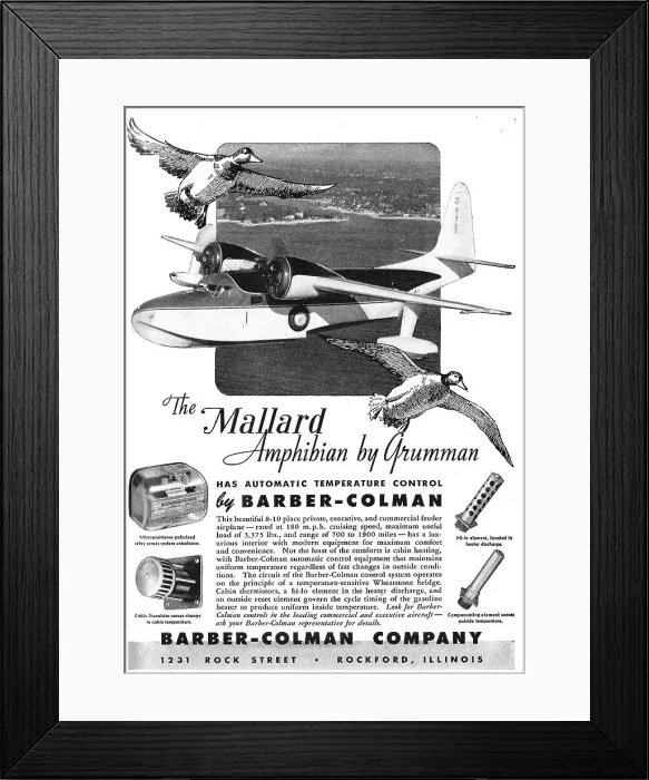 Framed Print : 13855007