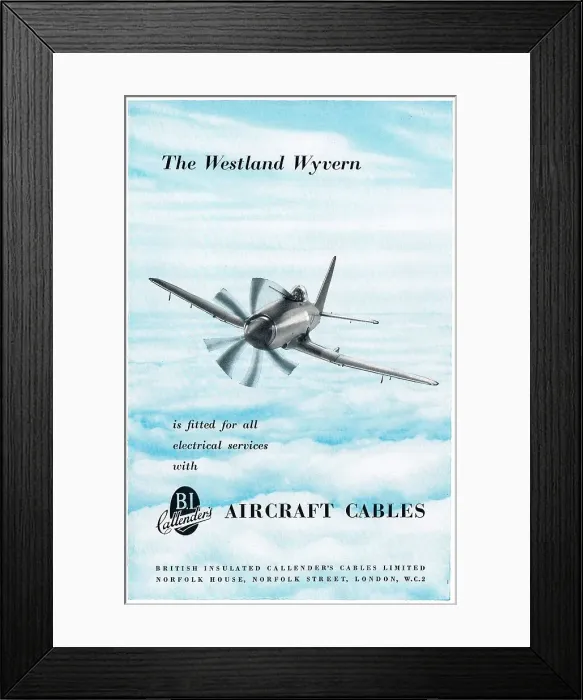 Framed Print : 13855381