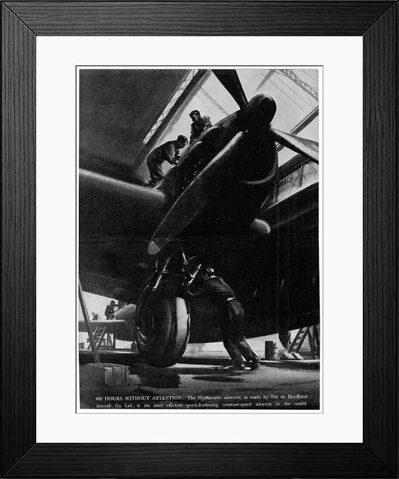 Framed Print : 13856677 Framed Print : 13856677