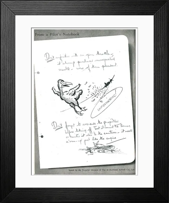 Framed Print : 13856728 Framed Print : 13856728