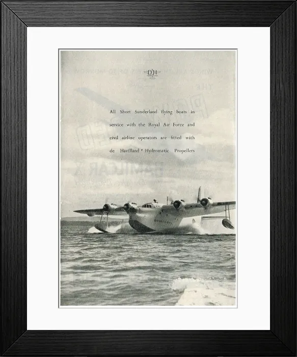 Framed Print : 13856766