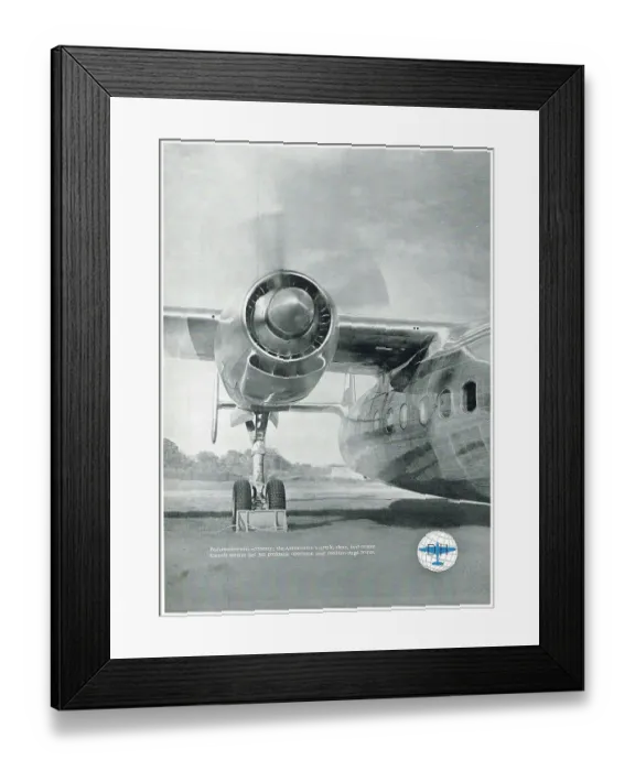 Framed Print : 13856819 Framed Print : 13856819