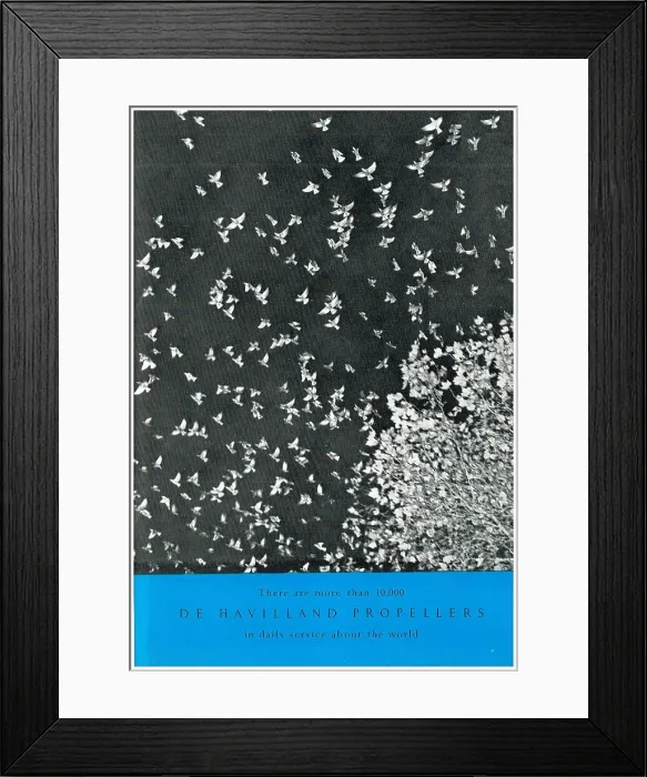 Framed Print : 13856823 Framed Print : 13856823