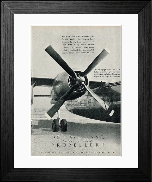 Framed Print : 13856824 Framed Print : 13856824